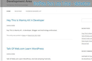 WordPress Posts Loop