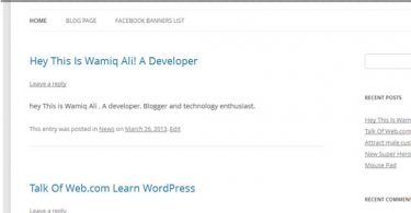 WordPress Posts Loop