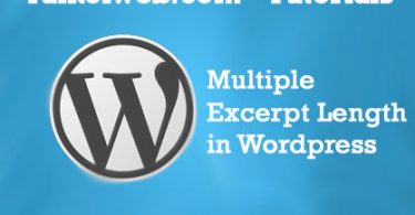 Multiple WordPress Excerpt Length