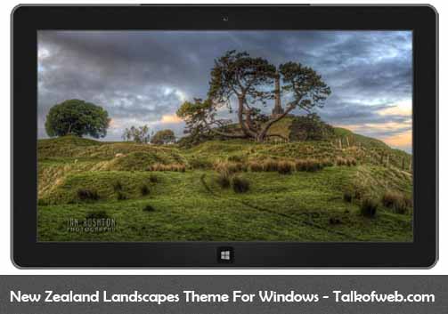 New Zealand Landscapes