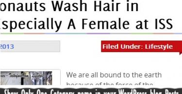 One Category Name in Wordpress on homepage