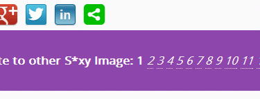 Wordpress-Post-Navigation