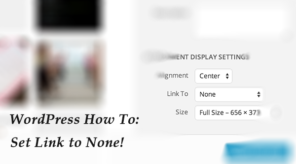 Screen Shot 2014-07-11 at 2.47.25 am