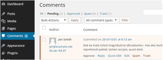Comment Section WordPress