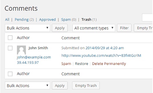 WordPress Comment Section