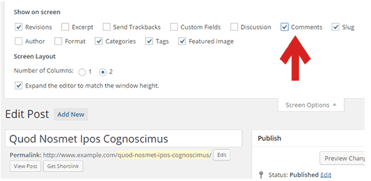 Comments in Post Viewer Section